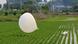 Nordkoreas Ballonprovokation Nordkoreas Ballonprovokation
