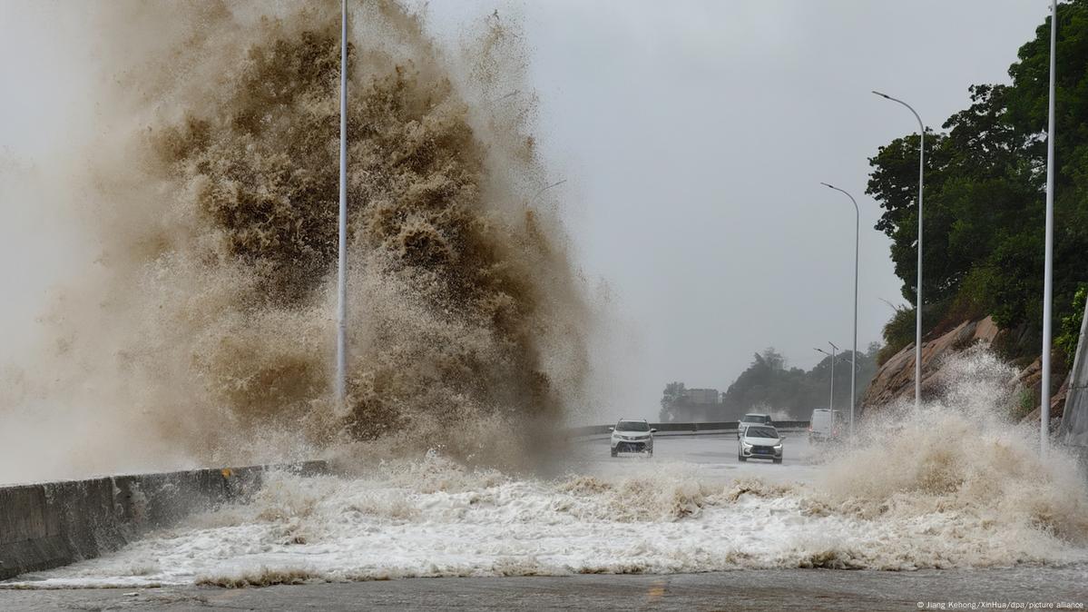 Typhoon Gaemi hits China after cargo ship sinks in Taiwan – DW – 07/25/2024