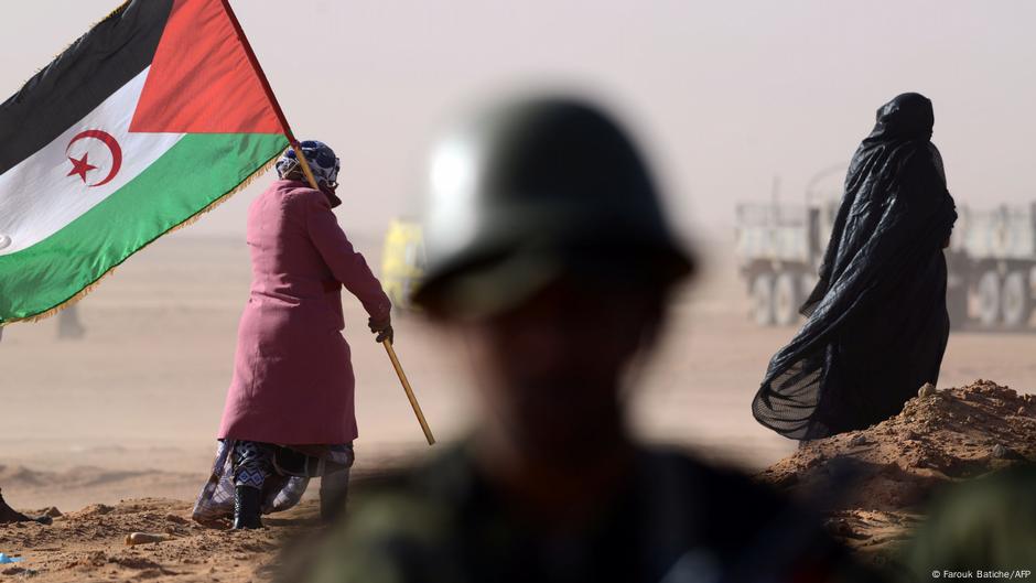 France backs Moroccan claim over disputed Western Sahara