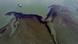 An aerial view of an oil spill An aerial view of an oil spill