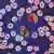 Plasmodium falciparum