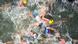 Swimmers in the Seine during the triathlon Swimmers in the Seine during the triathlon