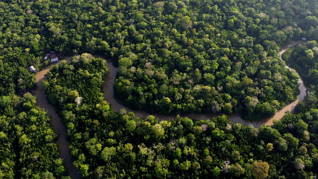 Vista aérea de um rio cortando a Amazônia em área preservada