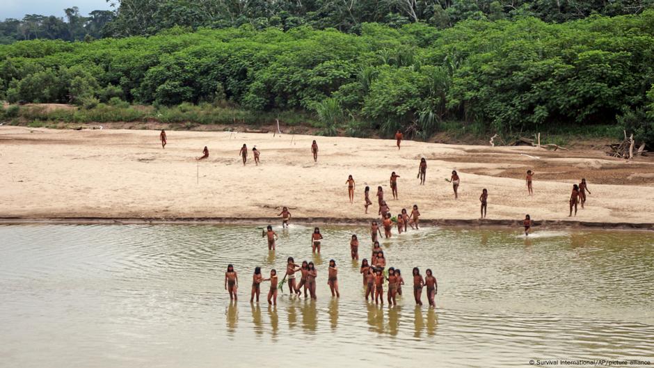 salen de aislamiento por tala – DW – – El reportero andino