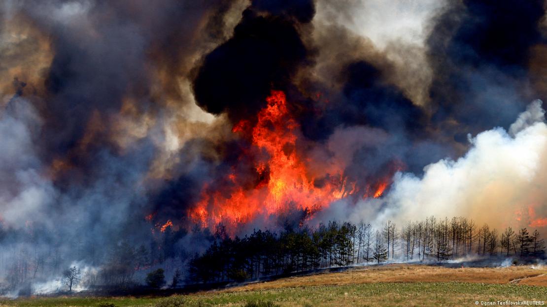 Incendios en los bosques de Macedonia del Norte. Incendios en los bosques de Macedonia del Norte.
