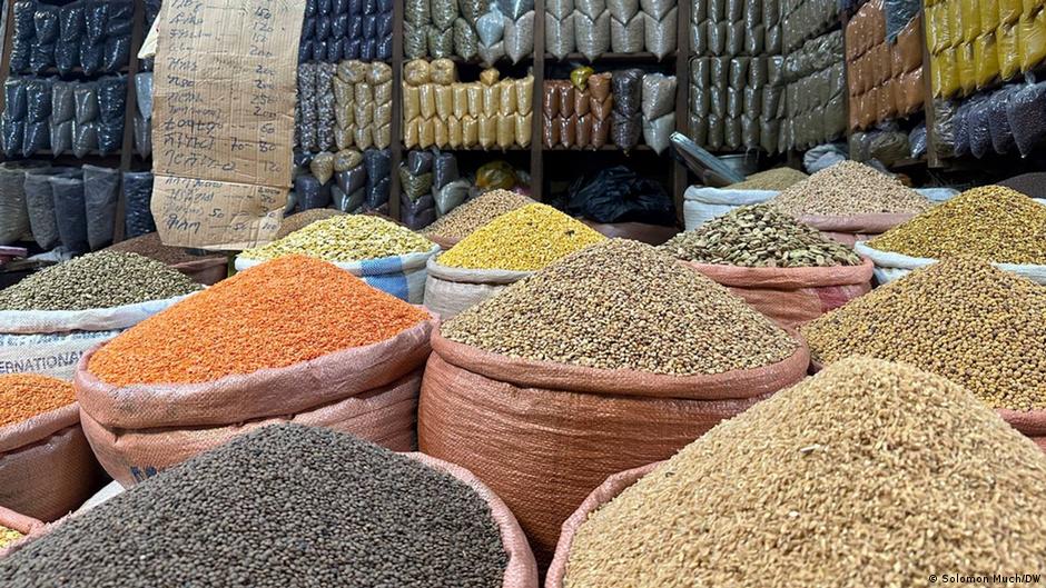 የአምነስቲ ኢንተርናሽናል ጥሪ ፤ የነዳጅ ዋጋ ጭማሪ ያሳደረው ጫና፤ ትራምፕ የውጭ እርዳታ እንዲቆም ማዘዛቸው