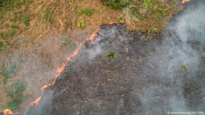 Combate ao desmatamento também é questão de saúde, aponta estudo