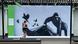 Großbritannien London | Banksy Kunstwerk am Londoner Zoo Großbritannien London | Banksy Kunstwerk am Londoner Zoo