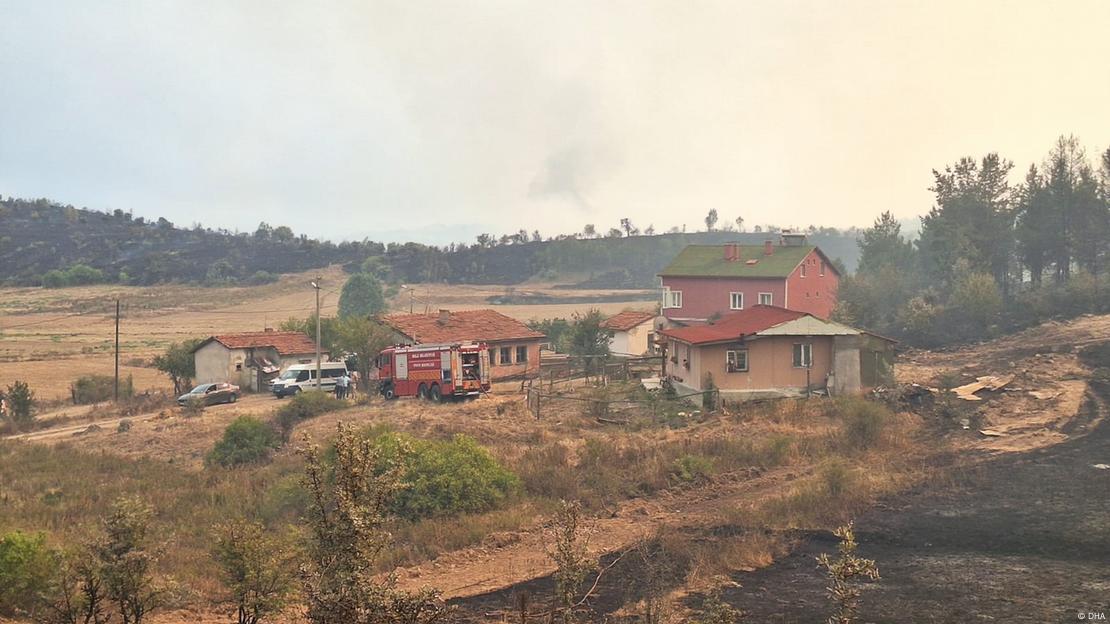 Bolu'da bu yaz çıkan yangından etkilenen ormanlık alan görünüyor 