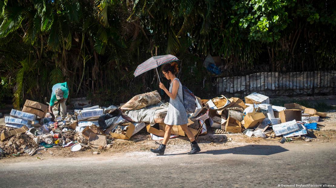 El virus Oropouche se transmite por mosquitos que proliferan en zonas con acumulación de residuos, especialmente en áreas urbanas de América Latina y el Caribe.