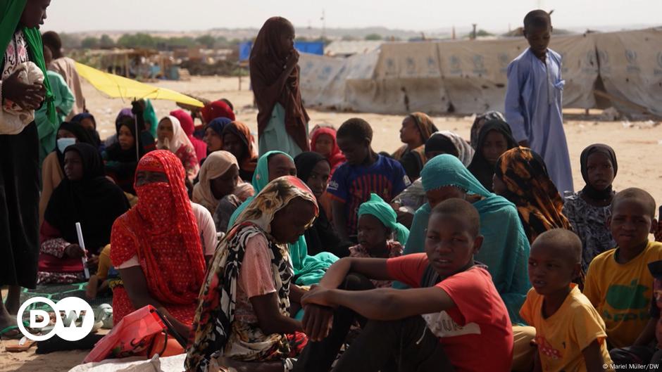 Visite diplomatique allemande au Tchad