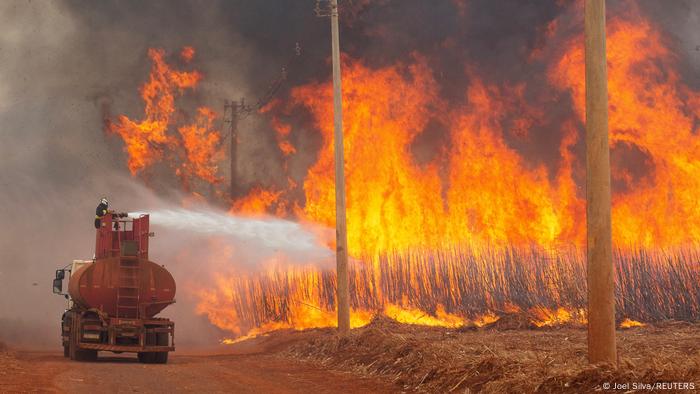 Segundo o Inpe, área queimada do Brasil em 2024 já soma mais de 224 mil km² – quase o tamanho do estado de São Paulo