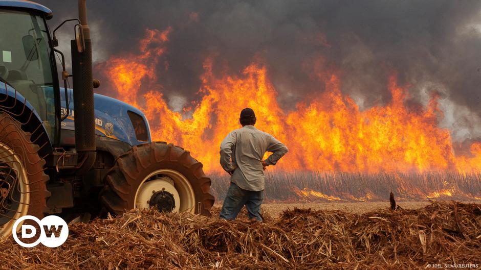 Brazil wildfires worsened by &#x27;mega drought,&#x27; extreme heat – DW – 08/30/2024