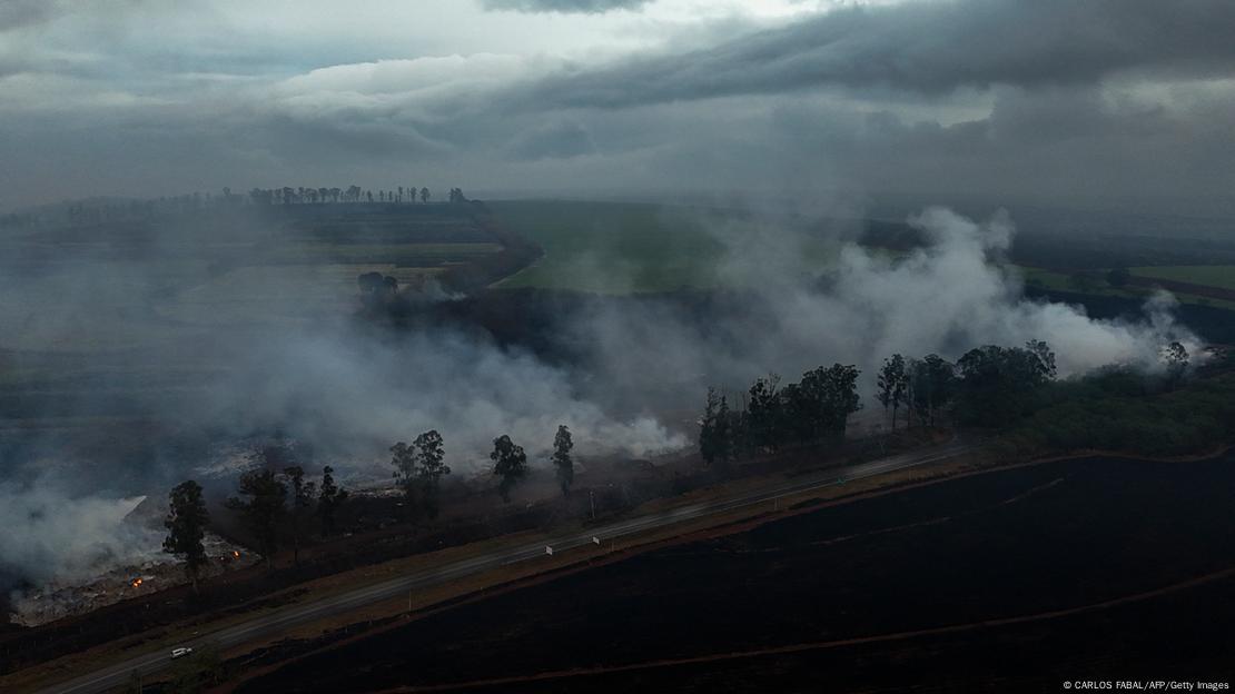 Em vista aérea, fumaça sobe de incêndio em floresta em área rural