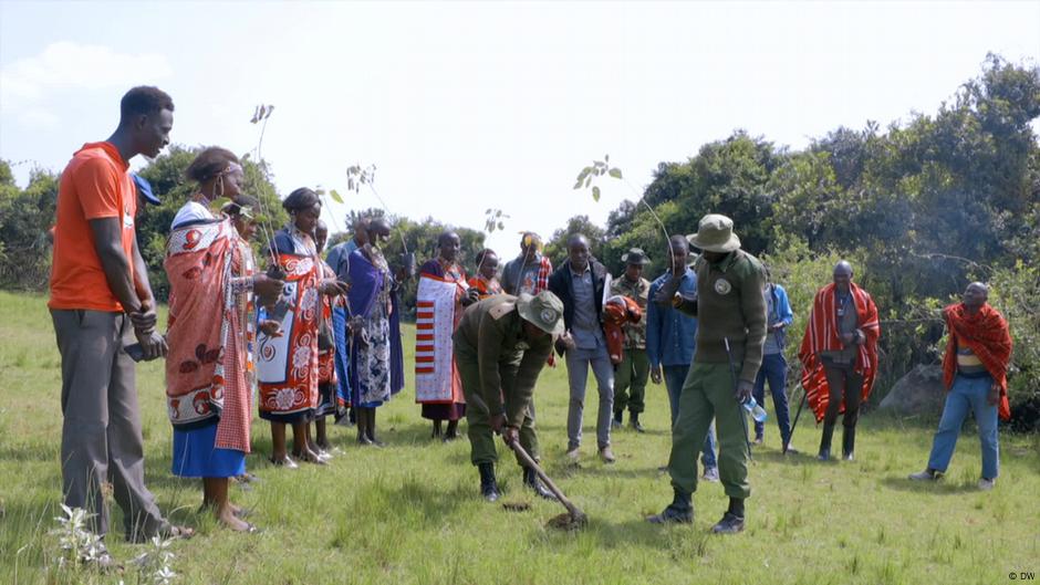 How Maasai women protect their communities with green skills – DW – 09/16/2024