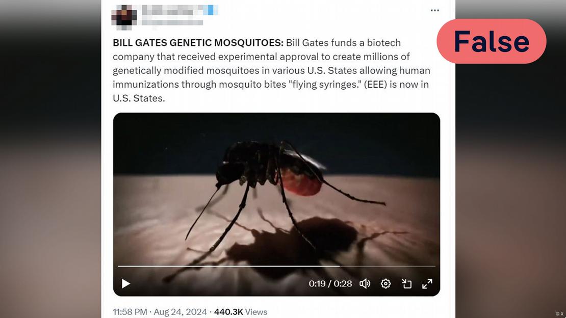 A video still showing a genetically modified mosquitoe