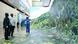 Participants of China-Africa Cooperation Forum stand in a giant bent immersive screen showing a tree-filled landscape