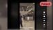 Screenshot eines viralen Videos auf Tiktok, das angeblich einen Mann am Flughafen Düsseldorf mit einer Axt zeigen soll. Tatsächlich ereignete sich der Vorfall jedoch in Santiago de Chile und zeigt einen Mann mit einem Hammer. (Screenshot: Tiktok) Screenshot eines viralen Videos auf Tiktok, das angeblich einen Mann am Flughafen Düsseldorf mit einer Axt zeigen soll. Tatsächlich ereignete sich der Vorfall jedoch in Santiago de Chile und zeigt einen Mann mit einem Hammer. (Screenshot: Tiktok)