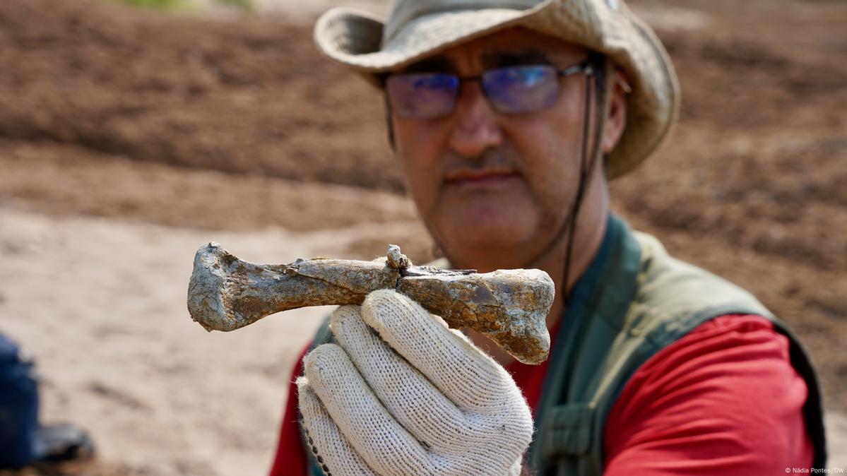 Pesquisador segura osso fossilizado