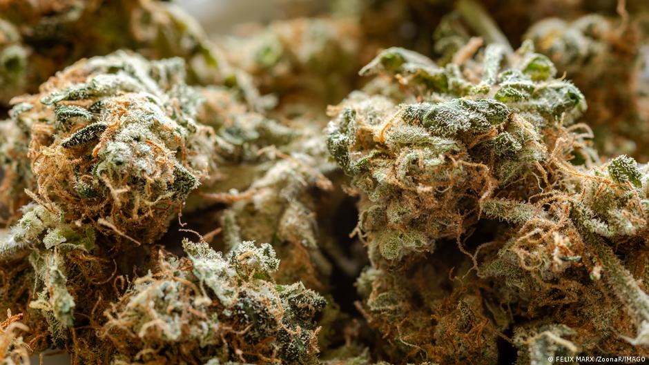 S receptom ili bez - (polu)legalna komzumacija