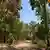 Indien | Abholzung Hasdeo Aranya in Chhattisgarh
