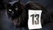 Gato persa preto ao lado de um bloco de calendário marcando uma sexta-feira 13 no mês de maio. Gato persa preto ao lado de um bloco de calendário marcando uma sexta-feira 13 no mês de maio.