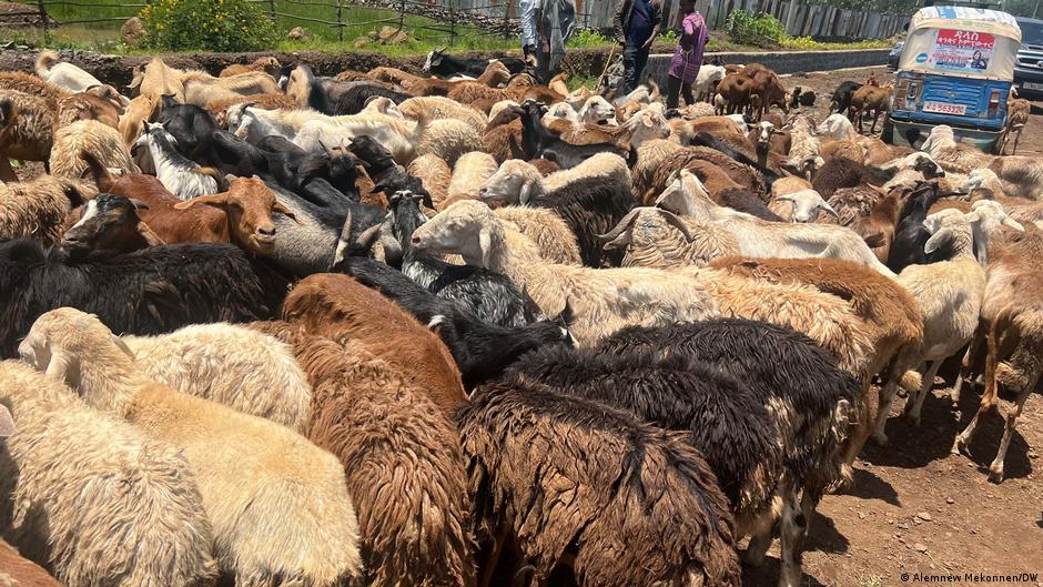 አማራ ክልል በአዲስ ዓመት ዋዜማ የዋጋ ንረት