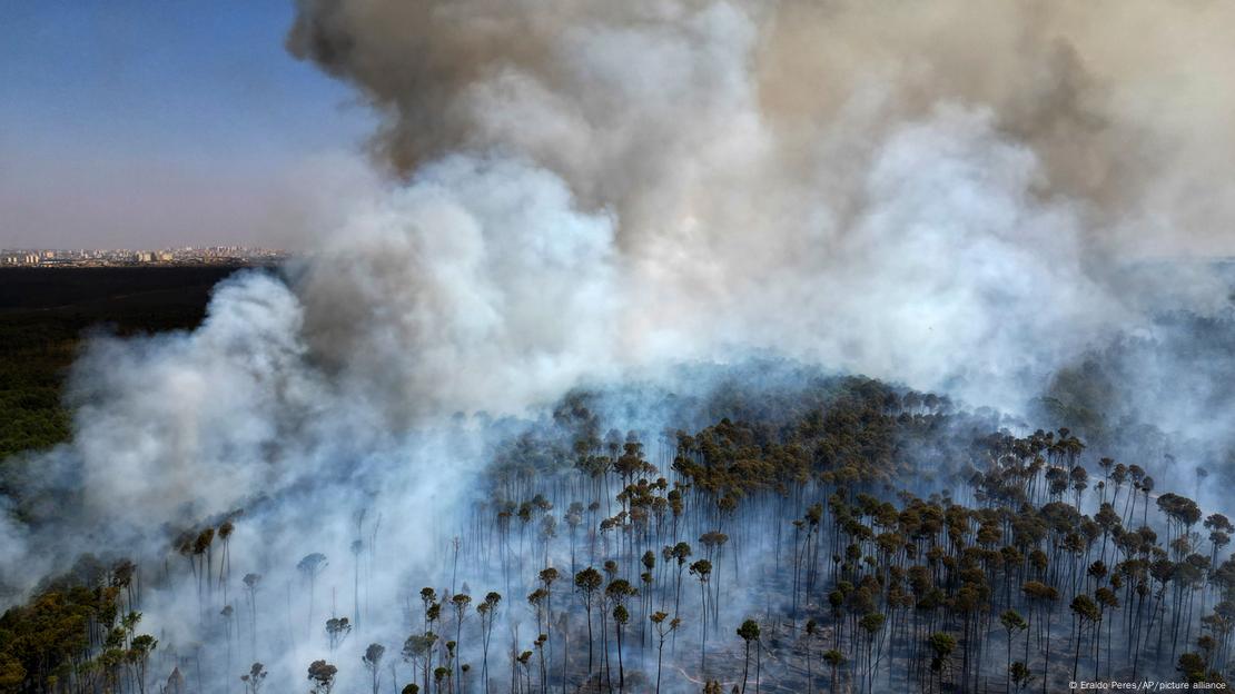 Un denso humo se eleva desde el corazón del Parque Nacional de Brasilia. (03.09.2024)