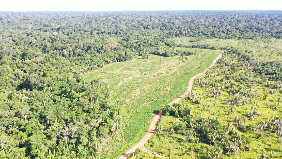 Vista aérea da Flona do Bom Futuro em Rondônia