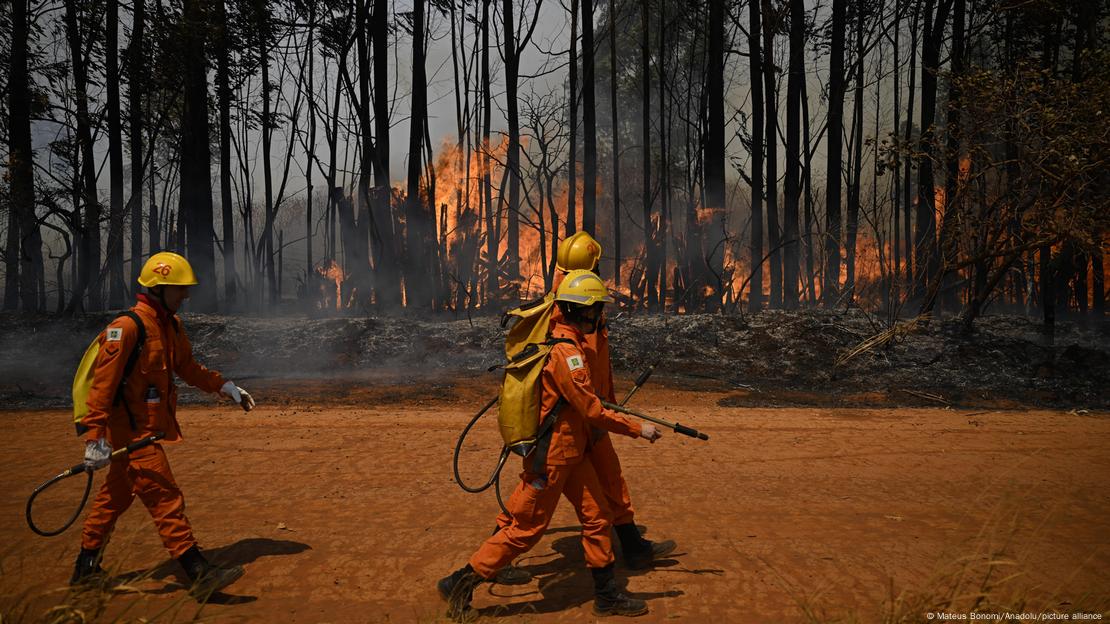 Bombeiros na Floresta Nacional de Brasília