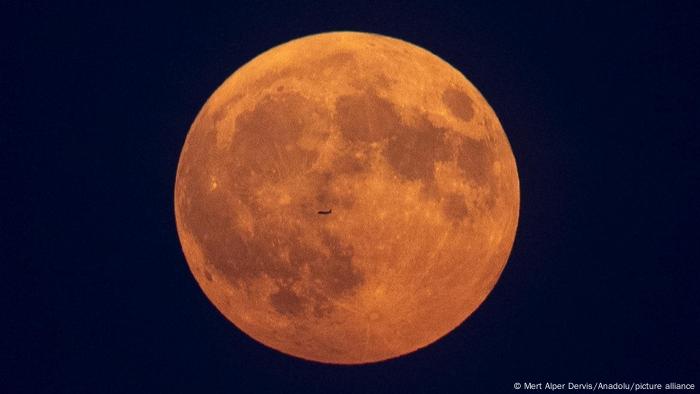 A ilusão da Lua: por que o astro pode parecer tão grande?