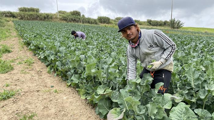 Nova regra de imigração pode impactar economia de Portugal