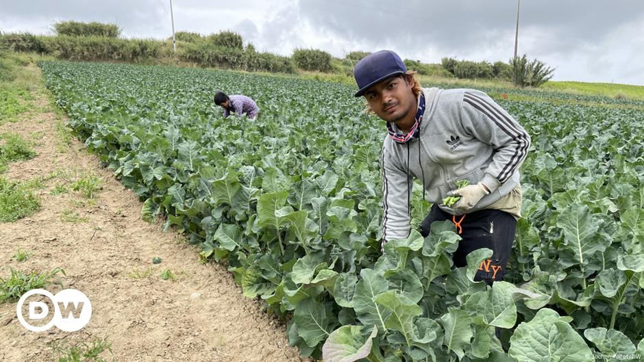 Portugal: Schärfere Regeln für Migranten