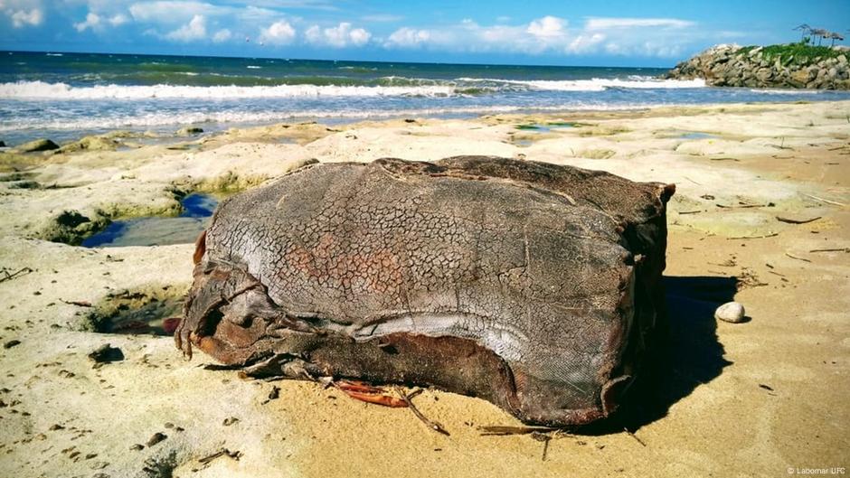 Ogromno i misteriozno: pakovanje kaučuka na brazilskoj plaži