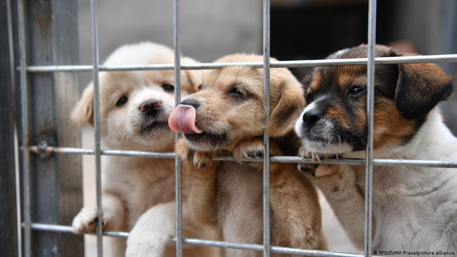 Onlajn-prodaja neće biti zabranjena, ali će se pažljivije pratiti