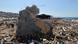 Ataque israelita atingiu a cidade costeira libanesa de Jiyeh Ataque israelita atingiu a cidade costeira libanesa de Jiyeh