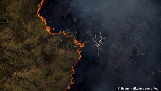 How to protect the Amazon and who should pay