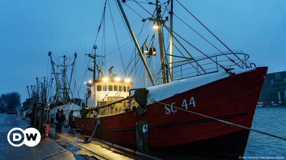 La justice invalide les accords entre le Maroc et l'UE sur la pêche