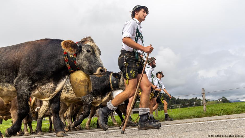 Bavarci u tradicionalnoj nošnji i goveda