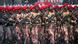 Anggota Komando Pasukan Khusus TNI berbaris saat parade peringatan 79 tahun TNI di Jakarta, 5 Oktober 2024 Anggota Komando Pasukan Khusus TNI berbaris saat parade peringatan 79 tahun TNI di Jakarta, 5 Oktober 2024