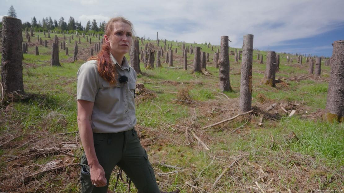 Fanny Hurtig em frente à área com muitas árvores cortadas