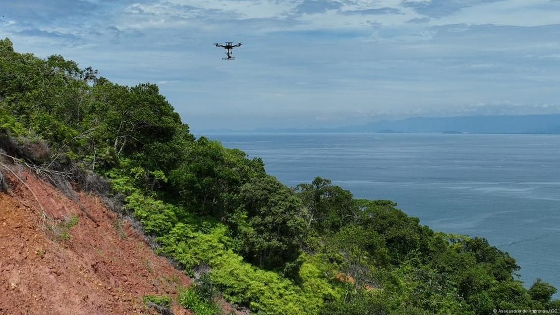 Imagem da encosta com árvores caídas e drone jogando sementes nela