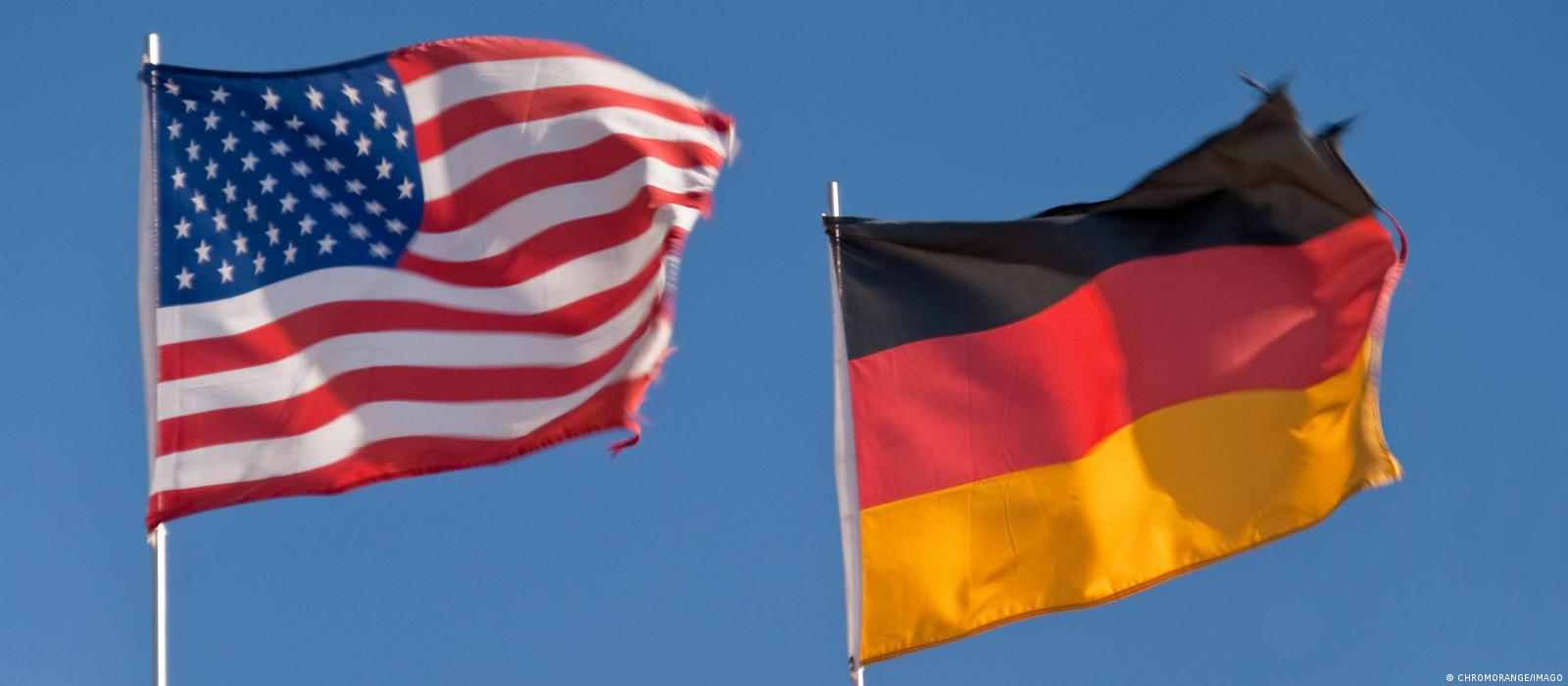 Katta yirtilgan mushuk surati Katta yirtilgan mushuk surati