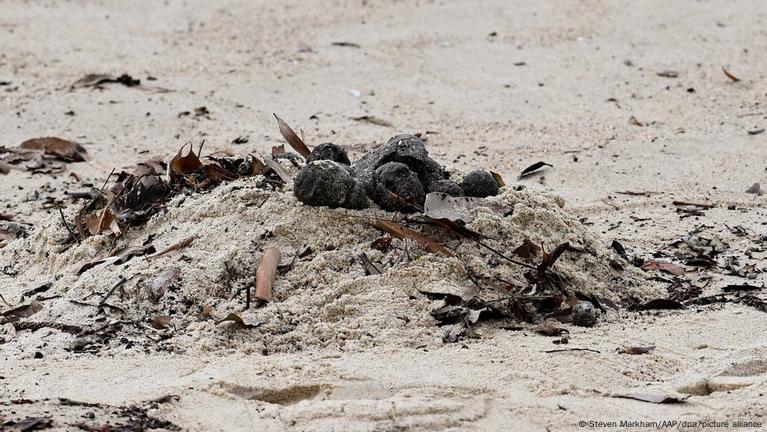 Sydney beaches closed over mysterious black balls DW 10 16 2024