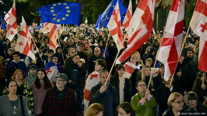 People hold Georgian and EU flags at a demonstration