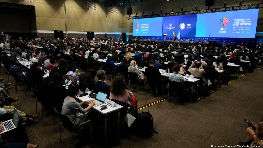 COP16 em Cali
