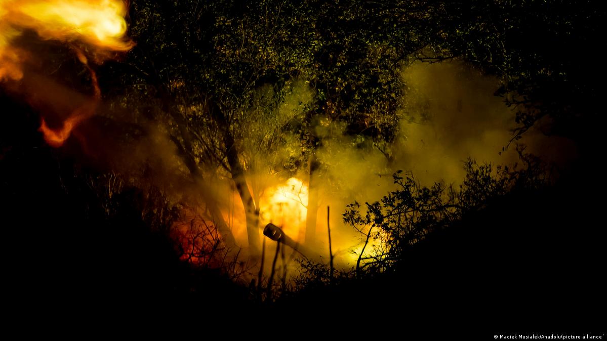 Ukraine updates Multiple Russian attacks across frontline DW 10/23/2024