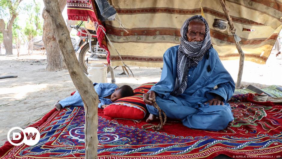 Le combat désespéré de Fadoul Saleh, un éleveur tchadien