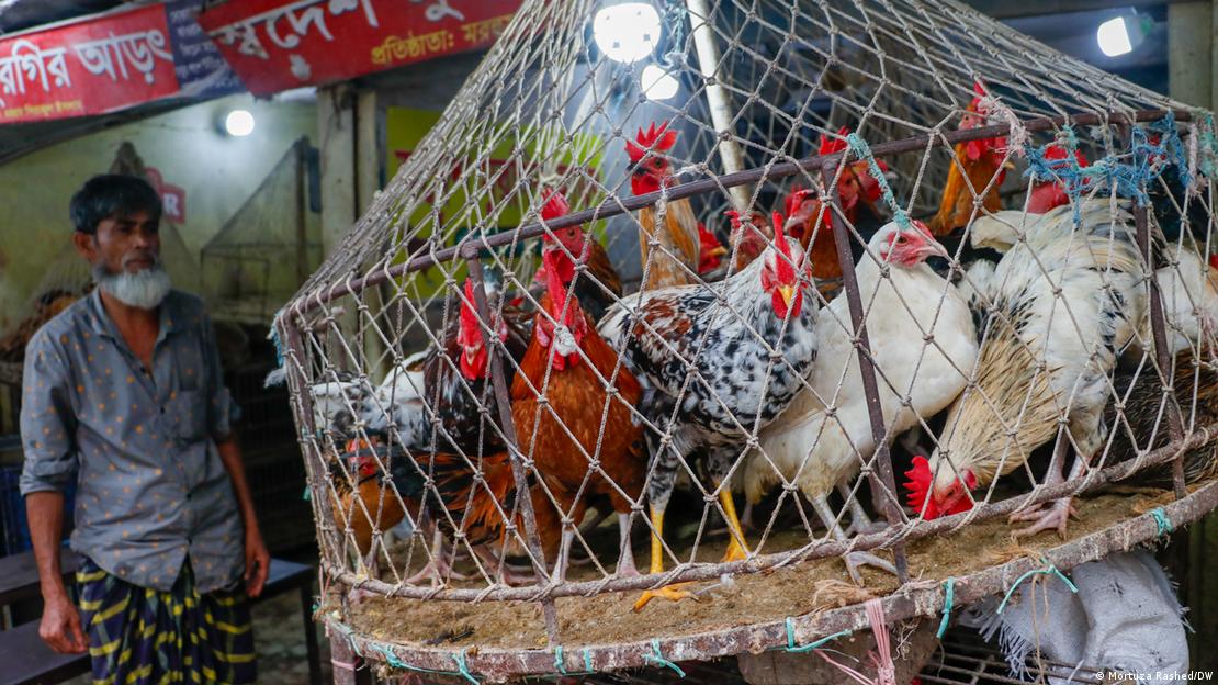 কারওয়ান বাজারের একটি দোকান