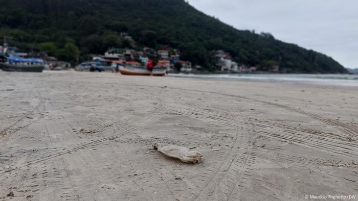 Praia em Florianópolis expõe desafio para manter litoral livre de microplásticos